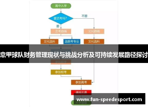 意甲球队财务管理现状与挑战分析及可持续发展路径探讨
