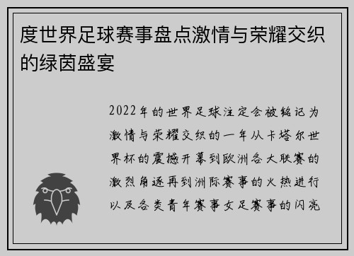 度世界足球赛事盘点激情与荣耀交织的绿茵盛宴